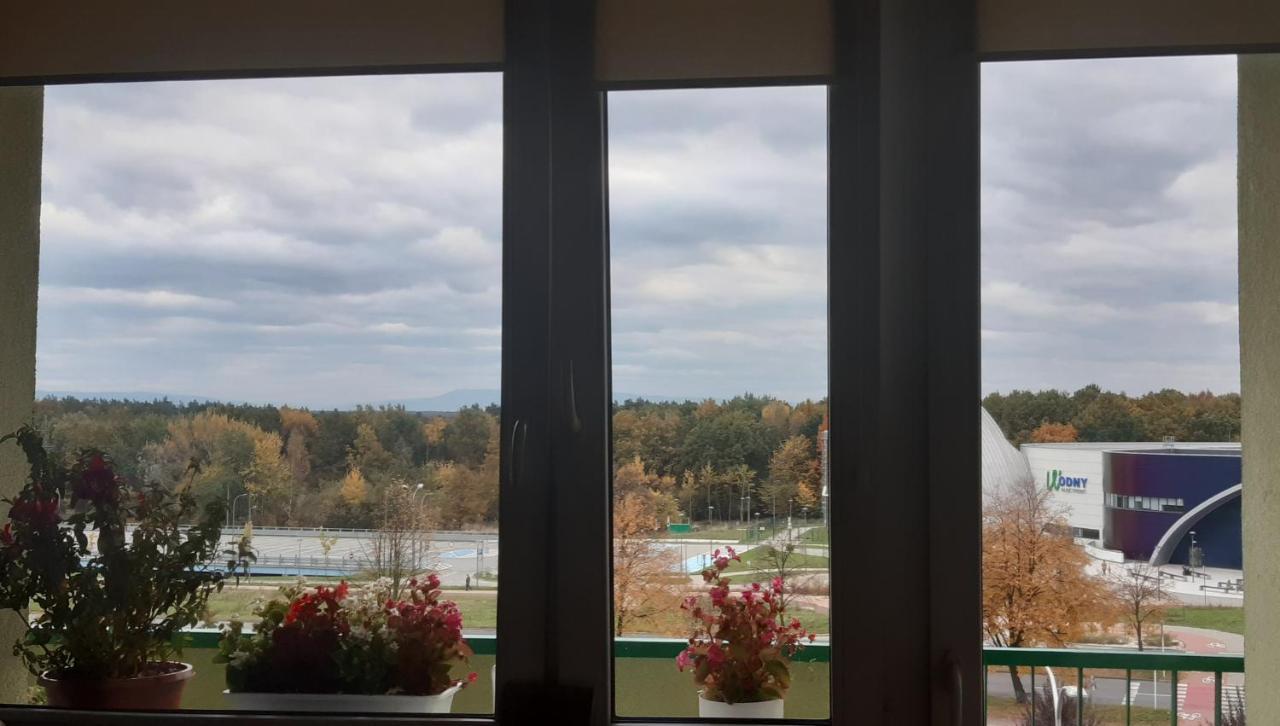 Green Sunny View Apartment Tychy Buitenkant foto