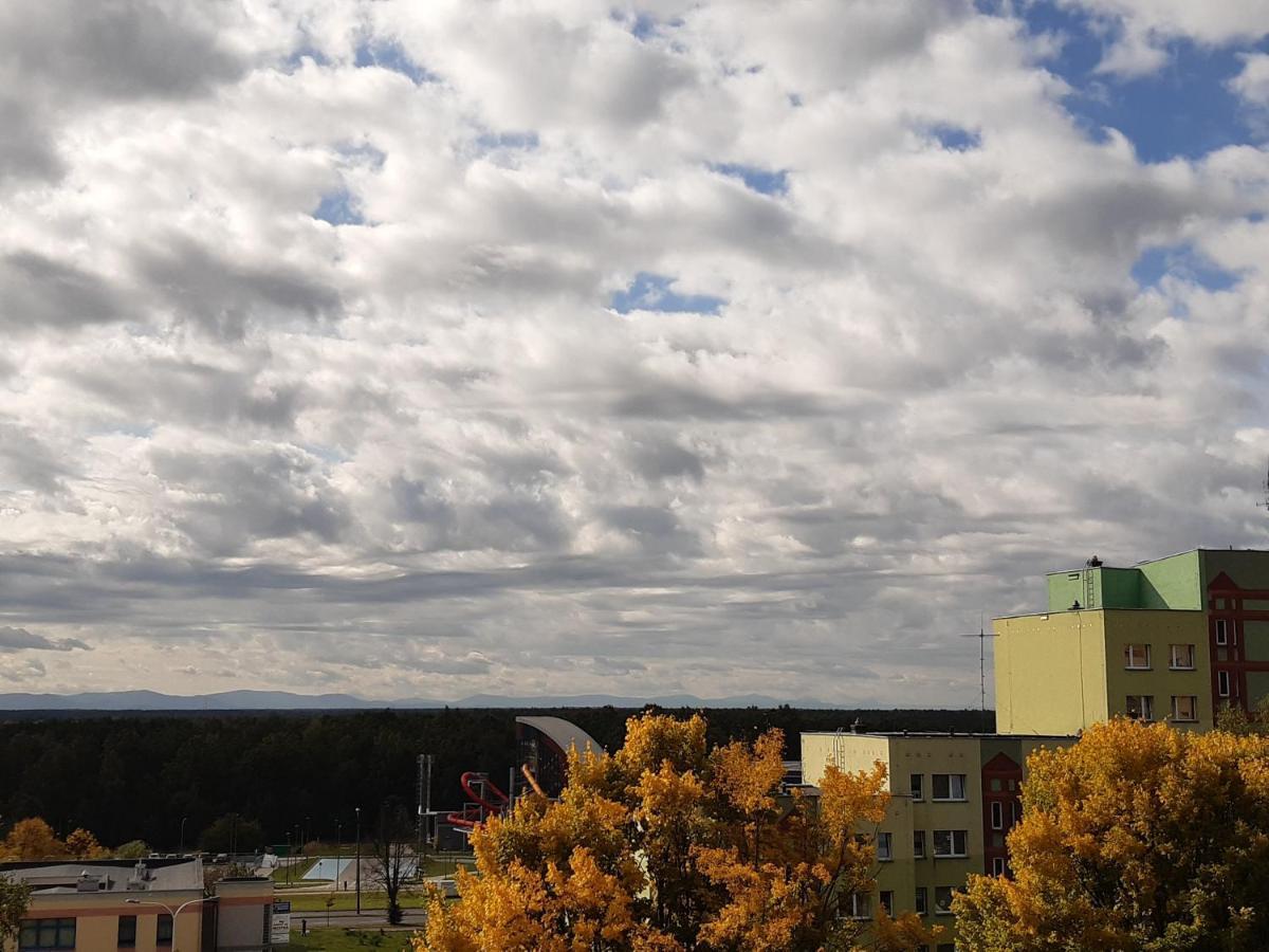 Green Sunny View Apartment Tychy Buitenkant foto